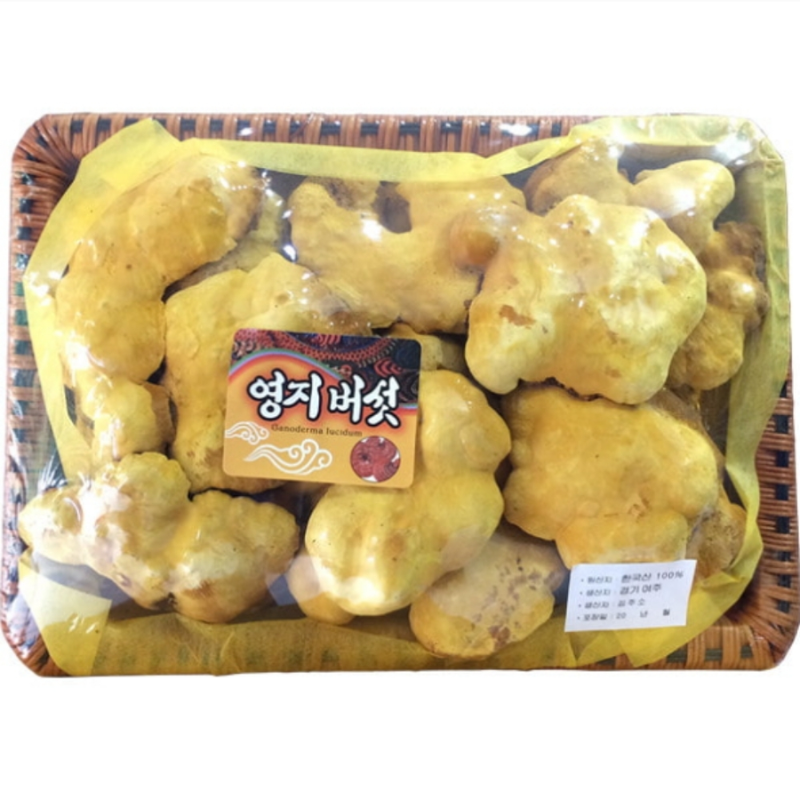 Nấm thượng hoàng Hàn Quốc thượng hạng khay Vip 500g