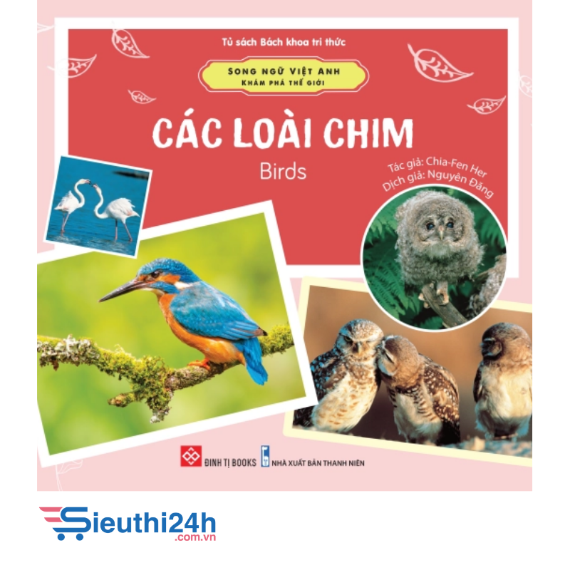 Song ngữ Việt Anh - Khám phá thế giới - Các loài chim - Birds