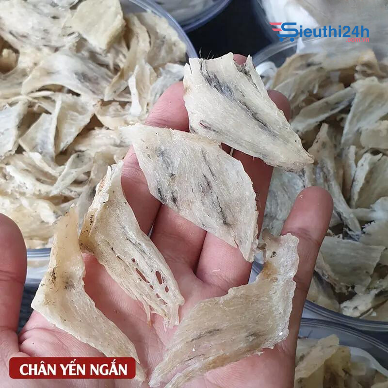 Chân Yến Thô Ngắn